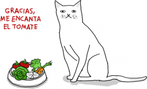 Un gato frente a un plato de verduras que dice: "Gracias. Me encanta el tomate."