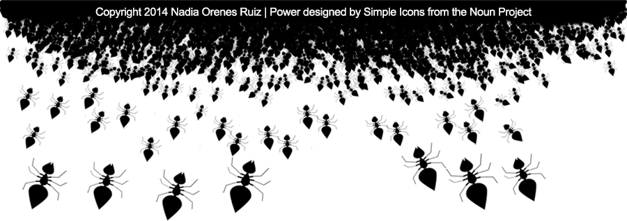 Pie de página y disclaimer: Copyright 2014 Nadia Orenes Ruiz | Powe designed by Simple Icons from the Noun Project